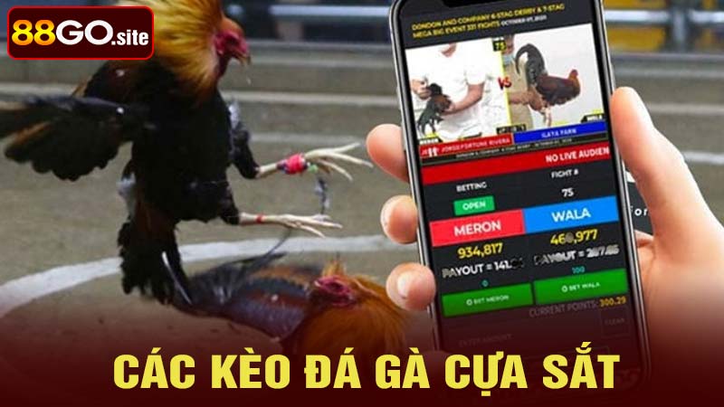 Giới thiệu về các kèo cược đá gà cựa sắt phổ biến