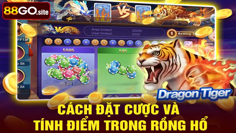 Cách đặt cược và tính điểm trong Rồng Hổ