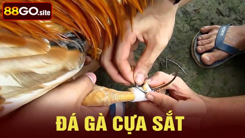 Đá Gà Cựa Sắt