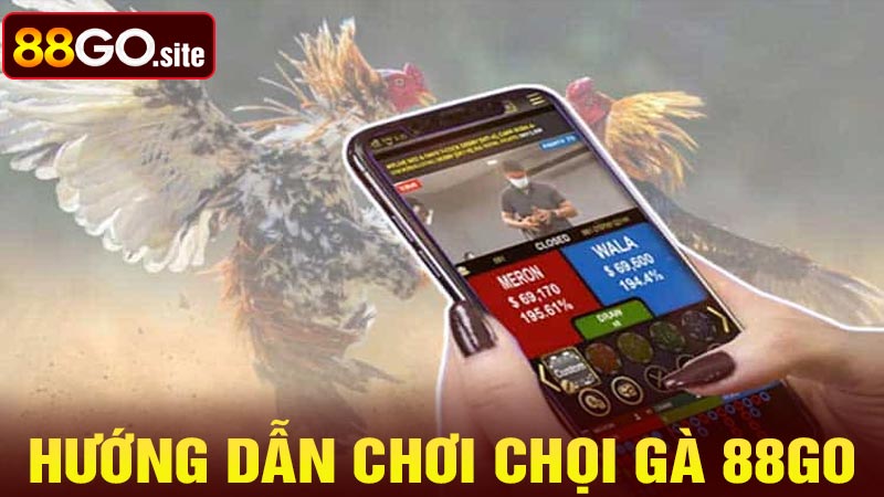 Hướng dẫn chơi chọi gà 88go